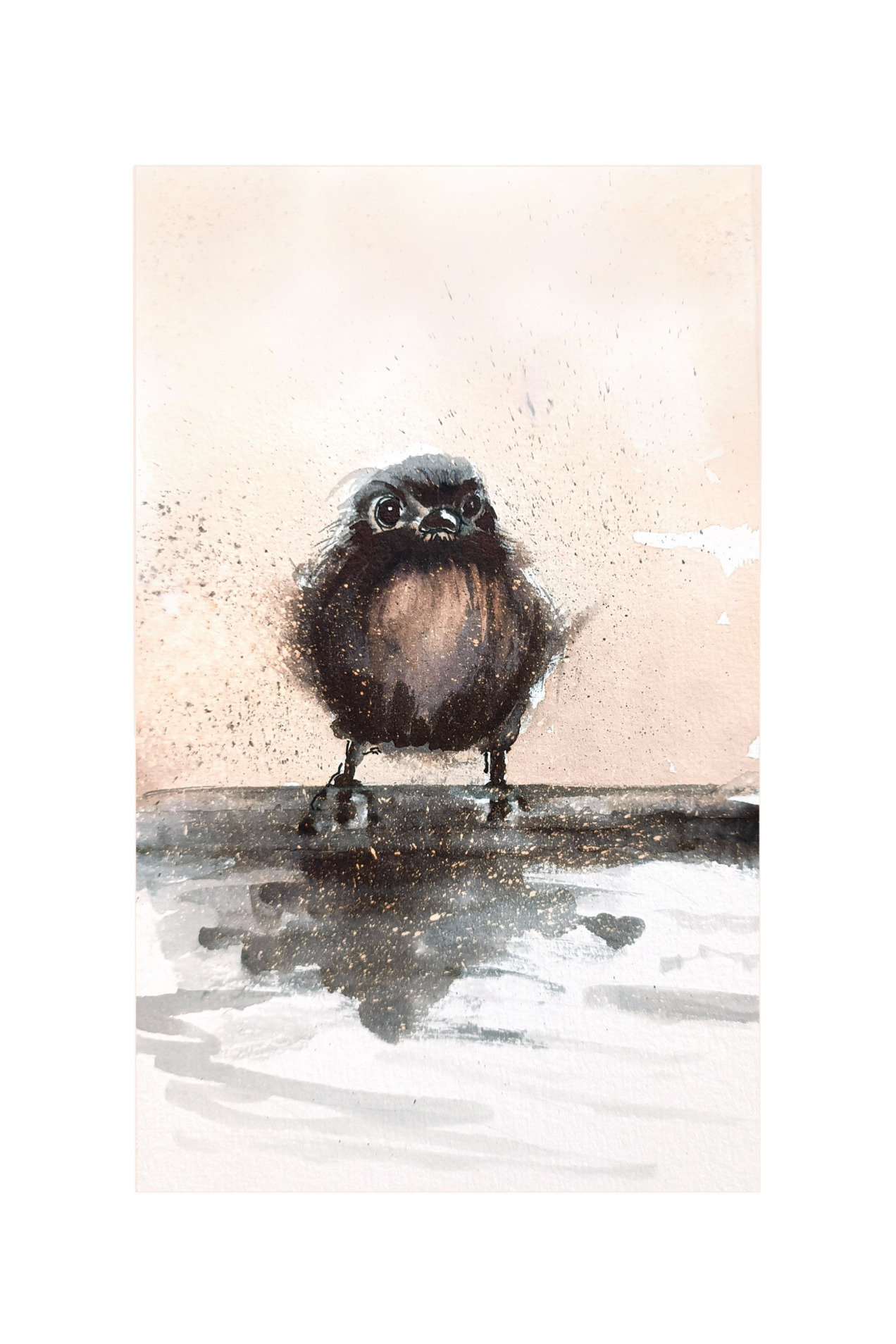 WHITE EYE