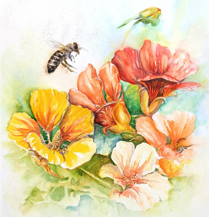 Full Bloom (26cm x 36cm)