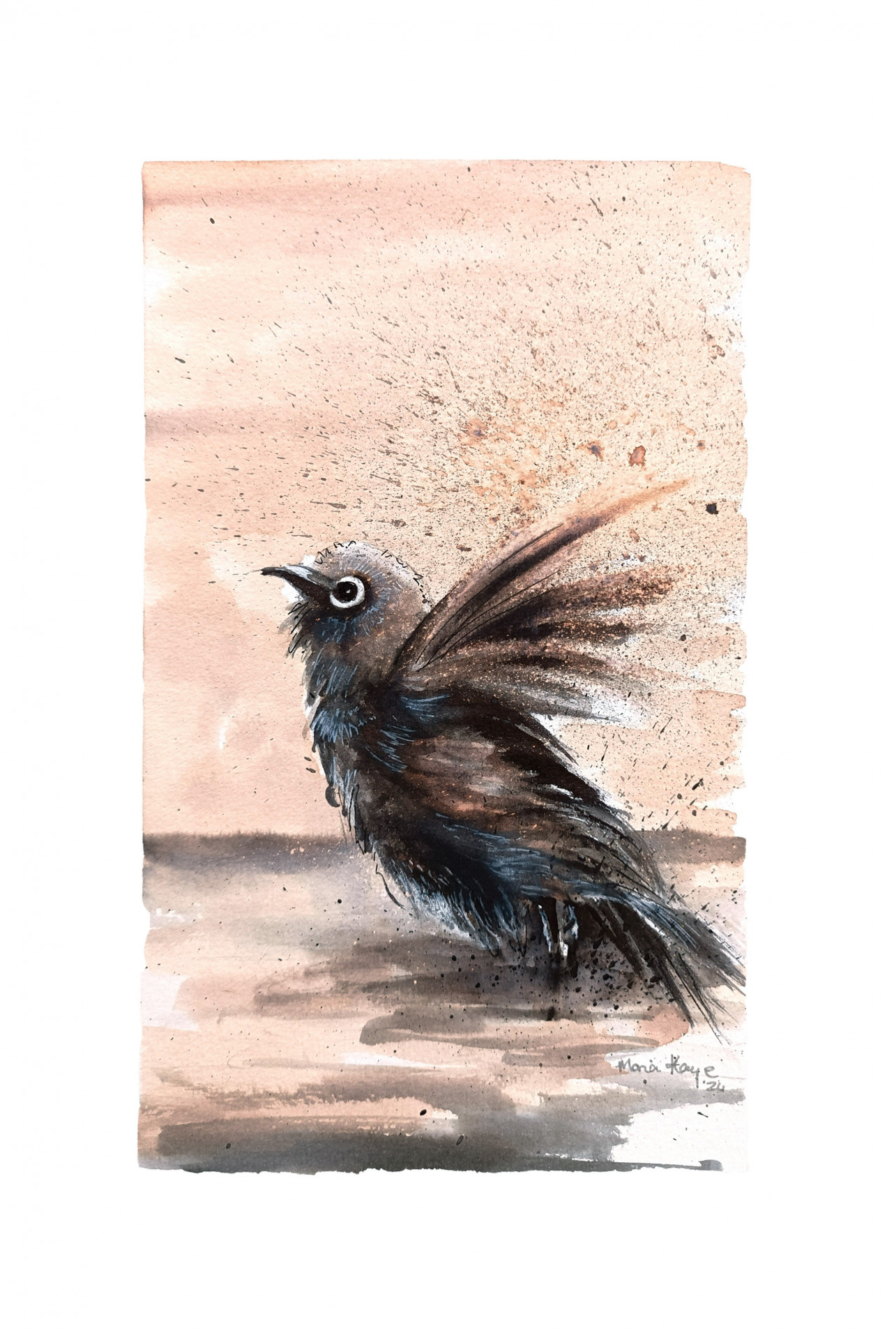 WHITE EYE